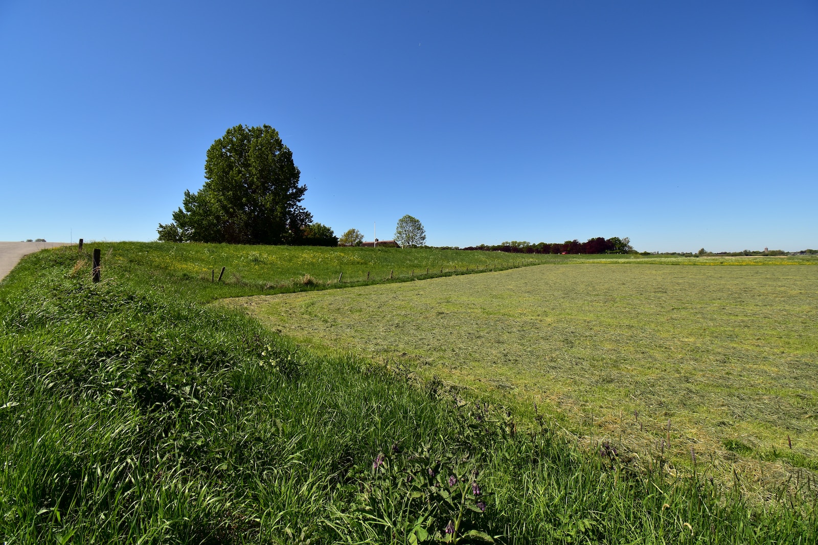 a grassy field with a road in the distance