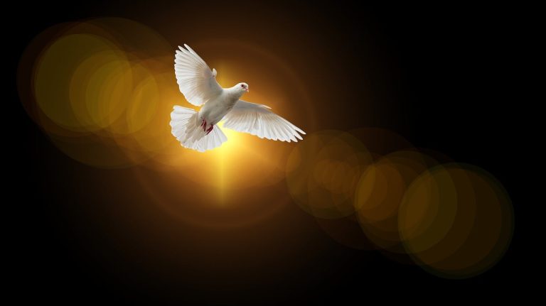 faith, dove, holy spirit