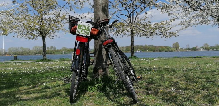 red and black motorcycle on green grass field