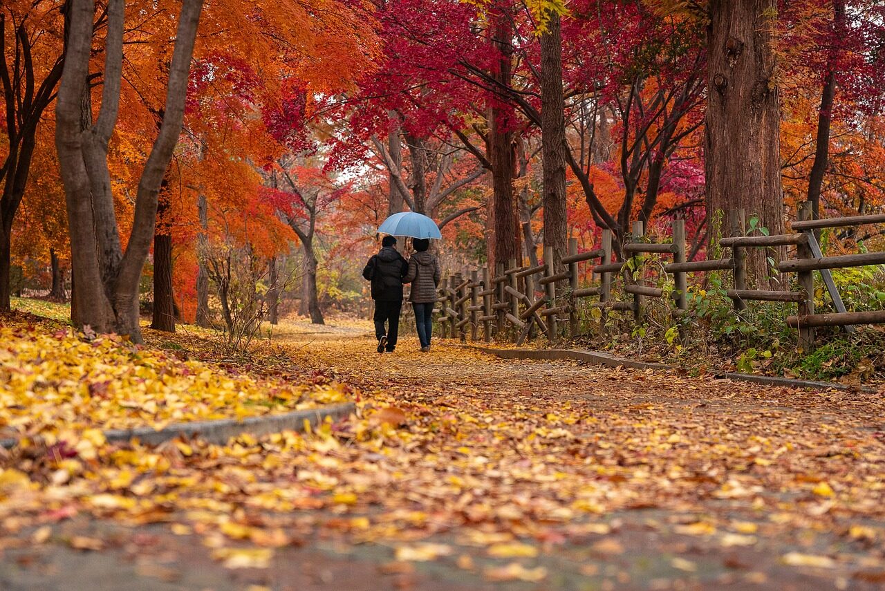 couple, park, nature, autumn, fall, foliage, maple, trees, path, strolling, walking